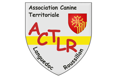 Exposition Canine